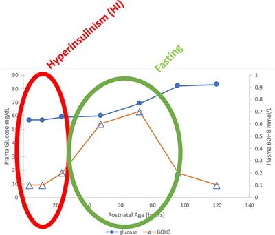 New approaches to screening and management of neonatal hypoglycemia based on improved understanding of the molecular mechanism of hypoglycemia